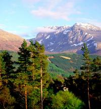 Cedar Lodge is one of the closest self catering places to Fort William's downhill mountain biking tracks and winter skiing/snowboarding at Nevis Ra...