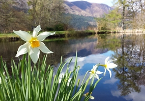 Invergloy Riverside Lodges provides flexible accommodation in unique architecturally designed lodges, ideal for week long family holidays or short ...
