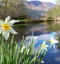 Invergloy Riverside Lodges provides flexible accommodation in unique architecturally designed lodges, ideal for week long family holidays or short ...