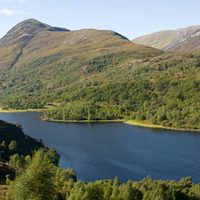 The Wee Triathlon is a pool-based triathlon involving a 400m swim, 10-mile bike ride on a mixture of tar, forest tra...