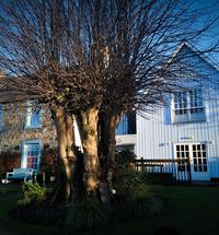 The Lime Tree in Fort William is a Small Hotel, Restaurant and high quality Art Gallery offering you unique accommodation in a convenient location ...