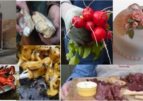 Listing food montage