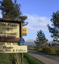 Old Pines is a restaurant with rooms at Spean which enjoys a particularly good setting just north of the village but within walking distance of the...
