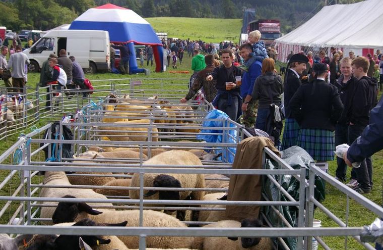 Feature august lochaber show 09 pentax 039