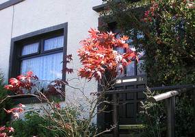 Number 81: Small, friendly bed and breakfast near Fort William Town Centre - quite near Bus and Railway Stations.Full Scottish Breakfast or Veget...