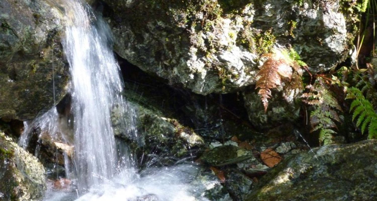 Natural springs
