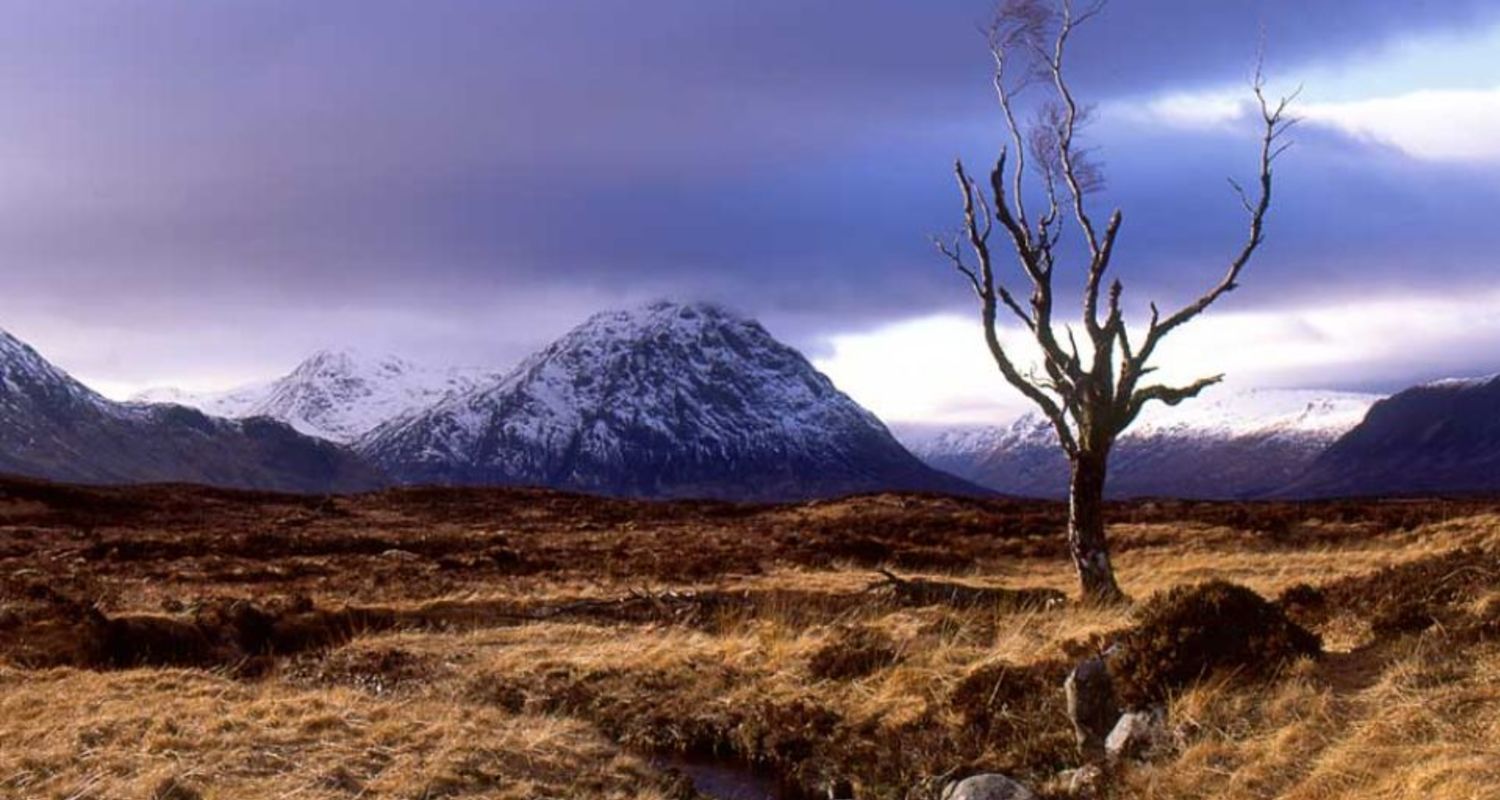 The Buachaille Etive Mor