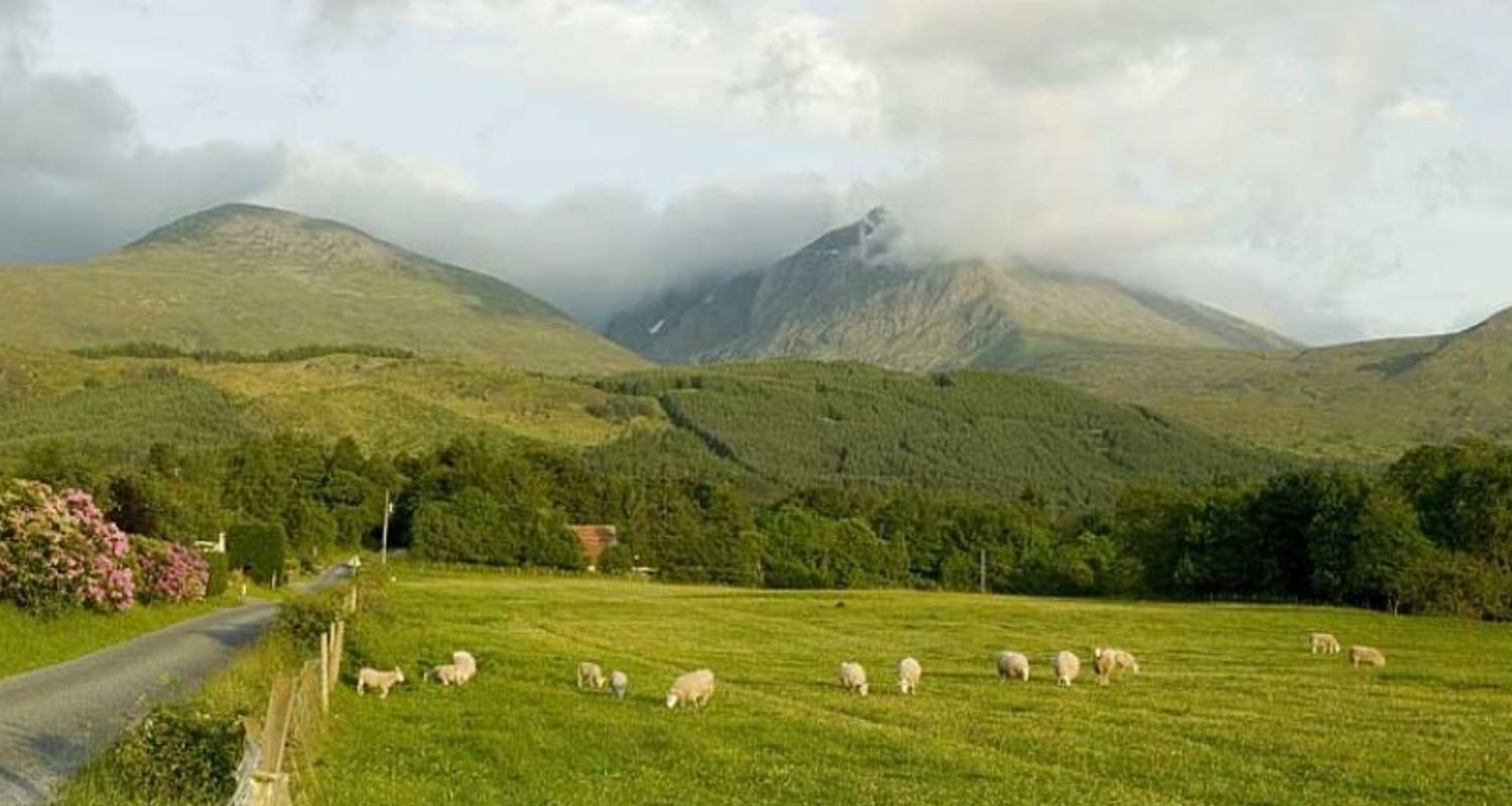 Grazing land on Torlundy Farm