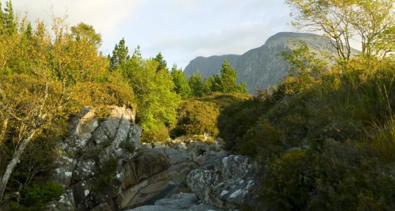Ben Nevis from the CIC walk