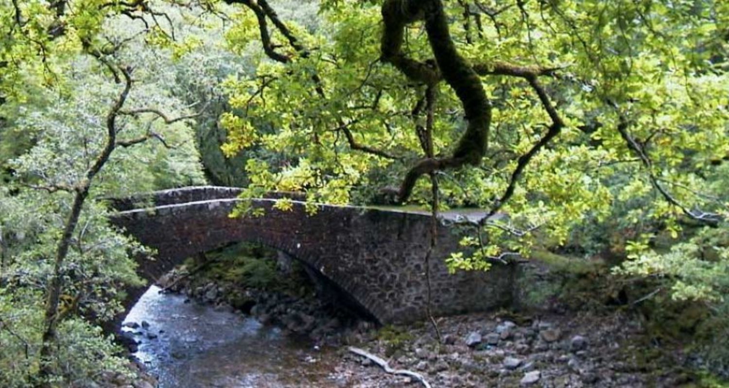 The waterfall at Achancarry