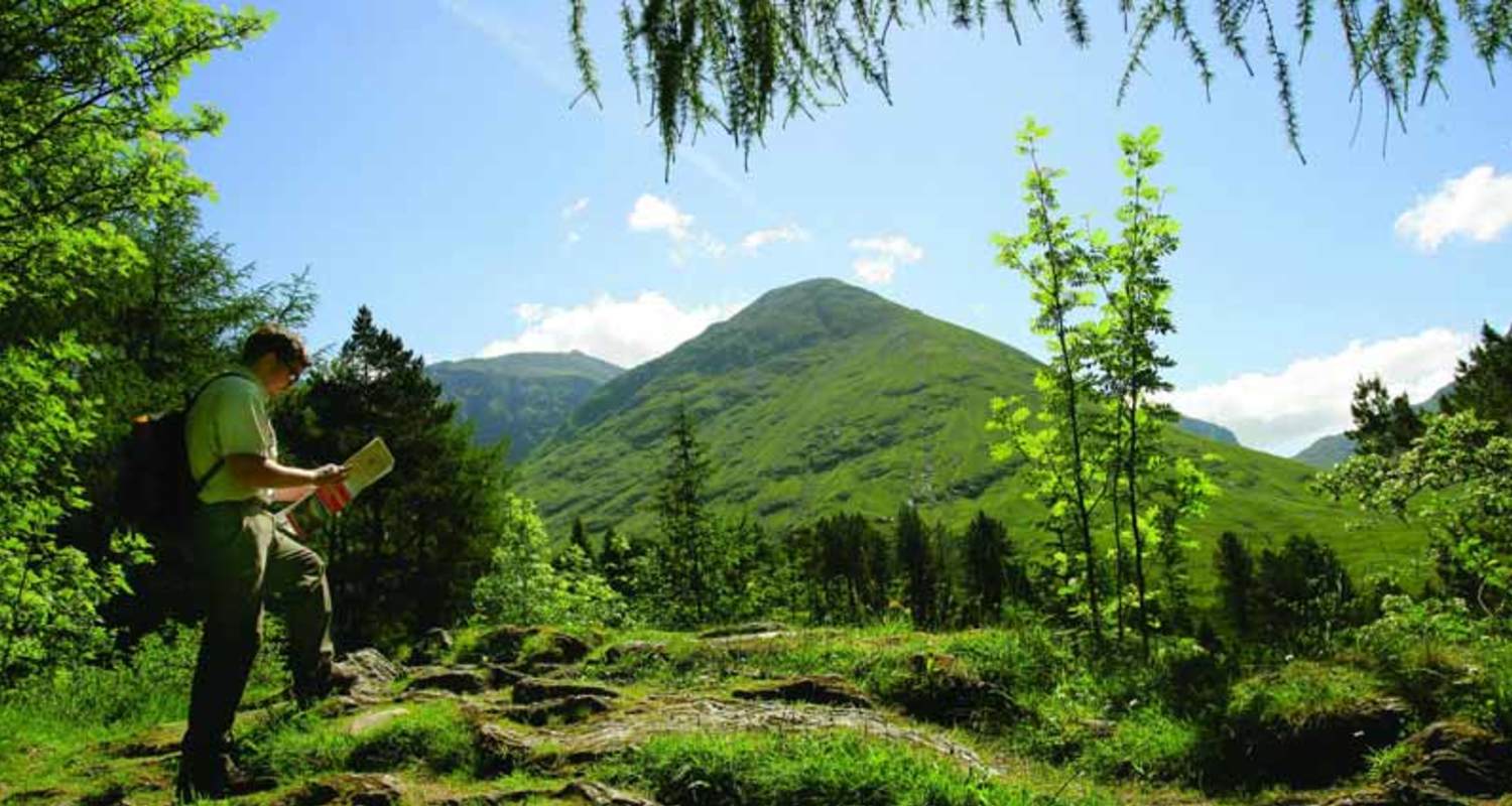 Guided woodland walks