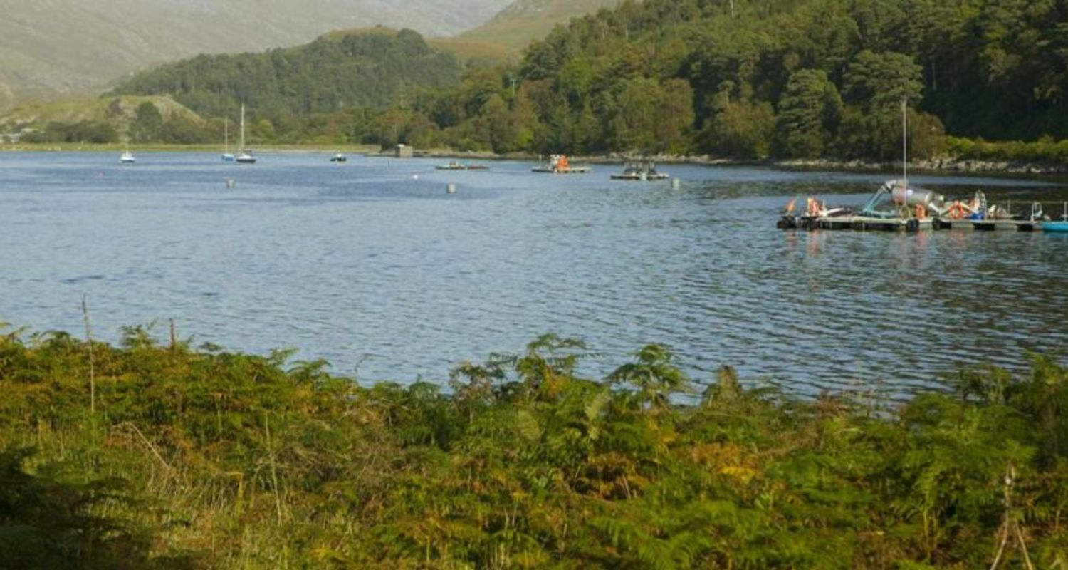 Fish Farming, Loch Ailort