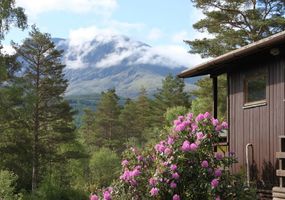 Great Glen Holidays is a wonderful place to stay in one of our comfortable self catering lodges on our working highland farm at Torlundy. We enjo...