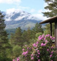 Great Glen Holidays is a wonderful place to stay in one of our comfortable self catering lodges on our working highland farm at Torlundy. We enjo...