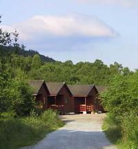 Beverley and David Place invite you to stay in one of our comfortable self catering bungalows and chalets in Roy Bridge, near Fort William The expe...